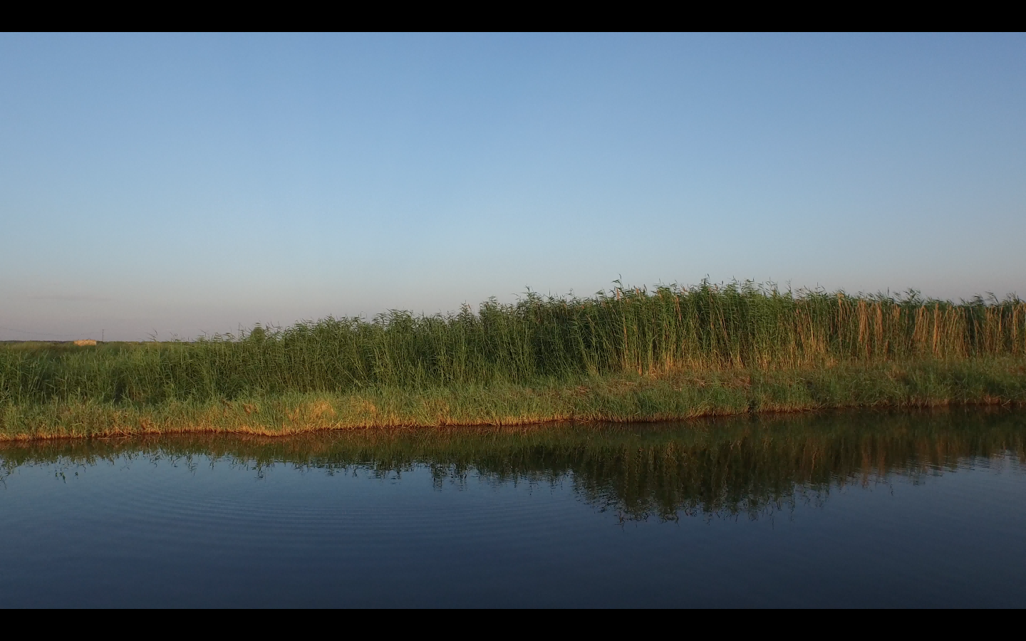 IMG_0119(1).png
