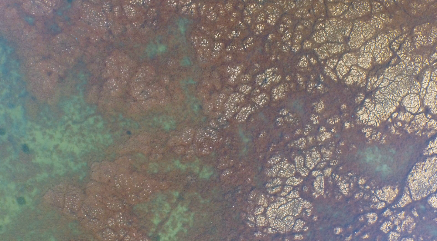 IMG_0327(1).png