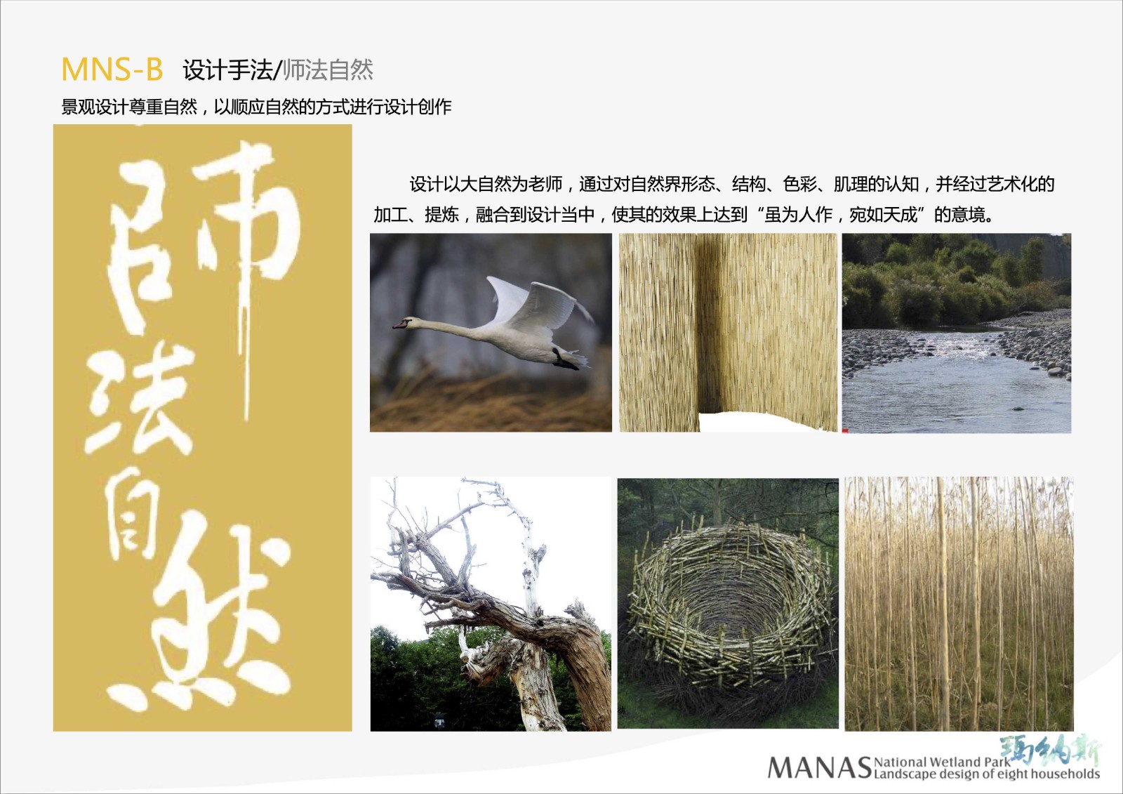 manas-八家户片区03.jpg