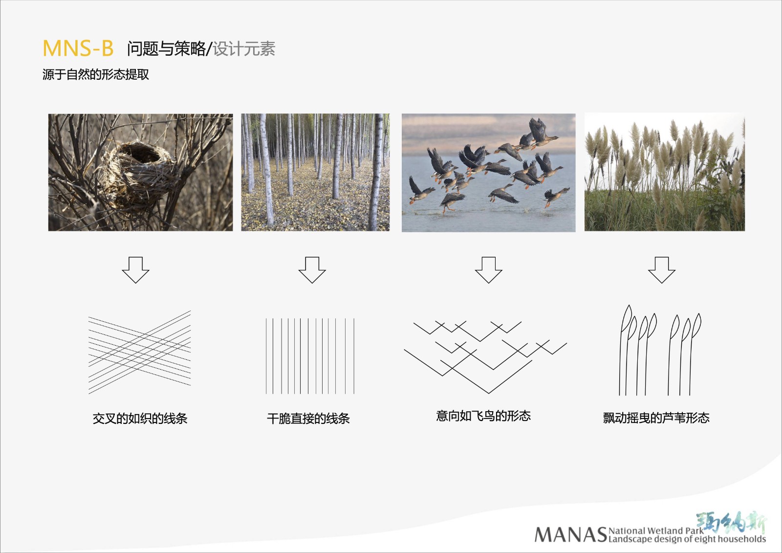 manas-八家户片区04.jpg