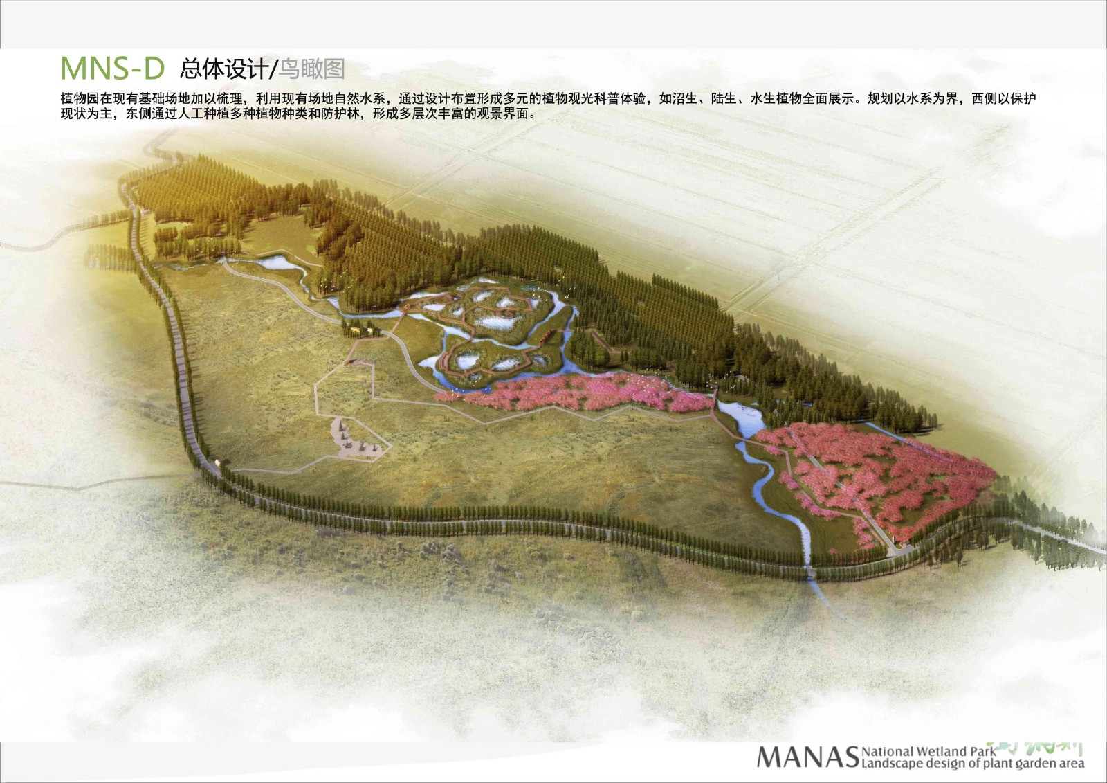 manas-植物园片区03.jpg